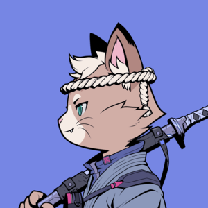 Azuki NFT azuki-5-optimized.png